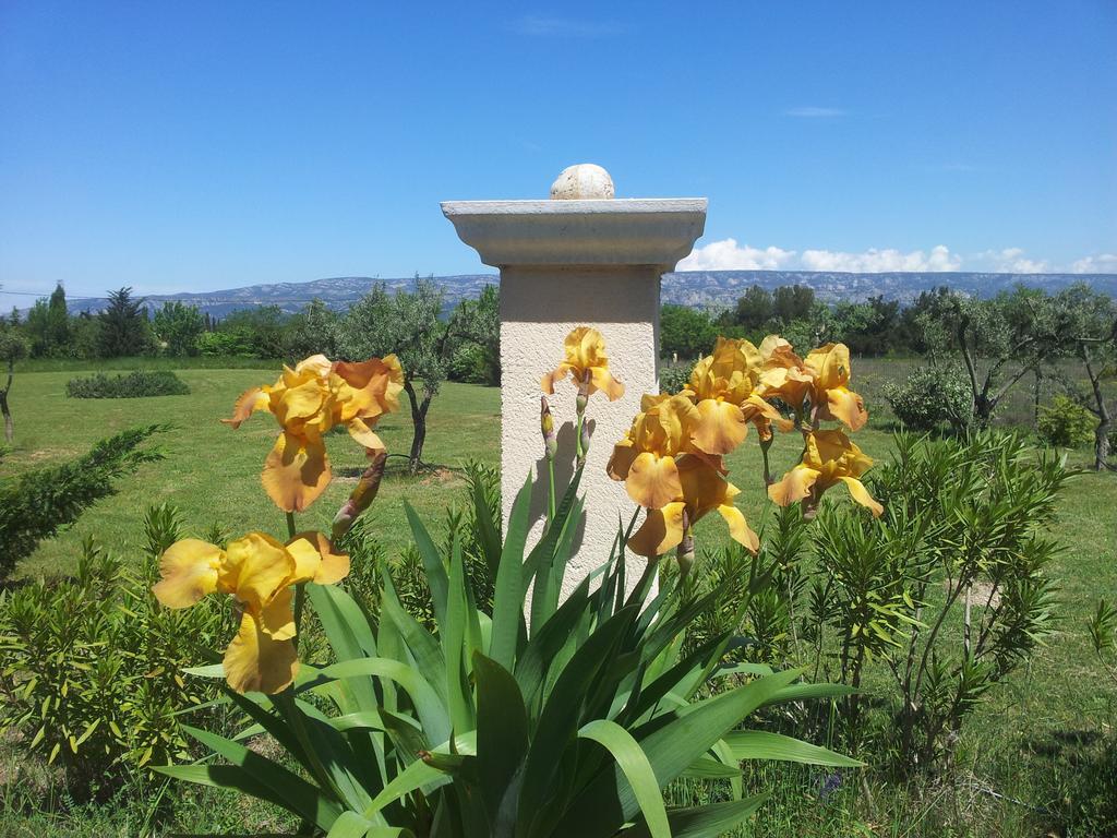 Lamanderie En Provence Bed and Breakfast Alleins Eksteriør billede